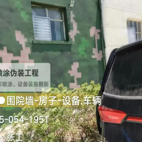 梅州数码迷彩漆施工